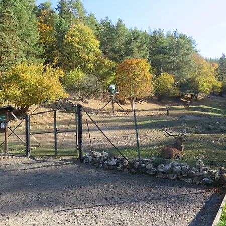 ゲストハウス Haus Sonnenwalde - Familie Ruhe