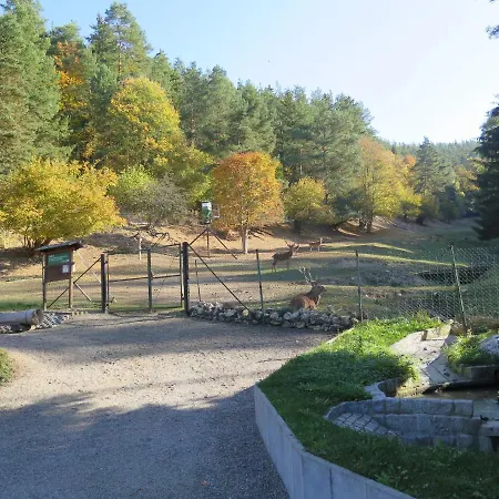 Haus Sonnenwalde - Familie Ruhe Rohrbach (Thuringia)