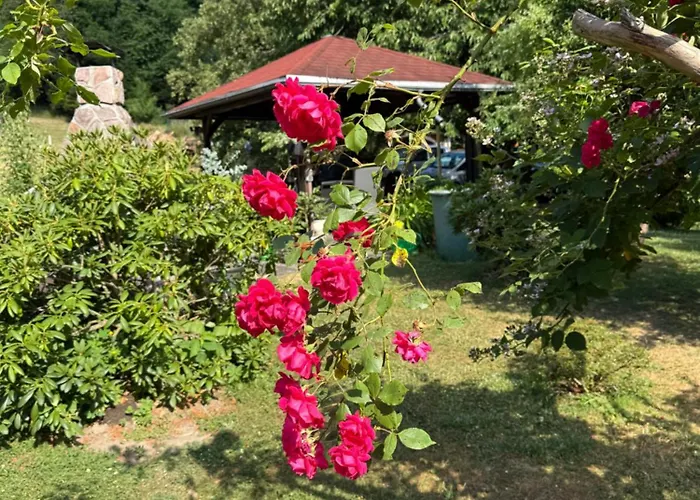 Haus Sonnenwalde - Familie Ruhe 3* Rohrbach (Thuringia)