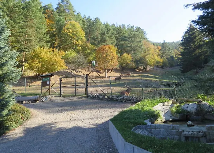 Haus Sonnenwalde - Familie Ruhe Rohrbach (Thuringia)
